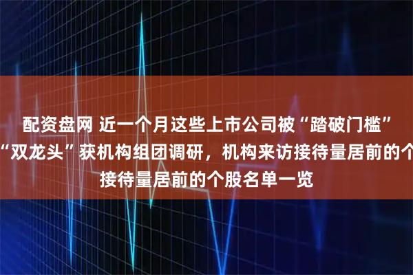 配资盘网 近一个月这些上市公司被“踏破门槛”！算力芯片“双龙头”获机构组团调研，机构来访接待量居前的个股名单一览